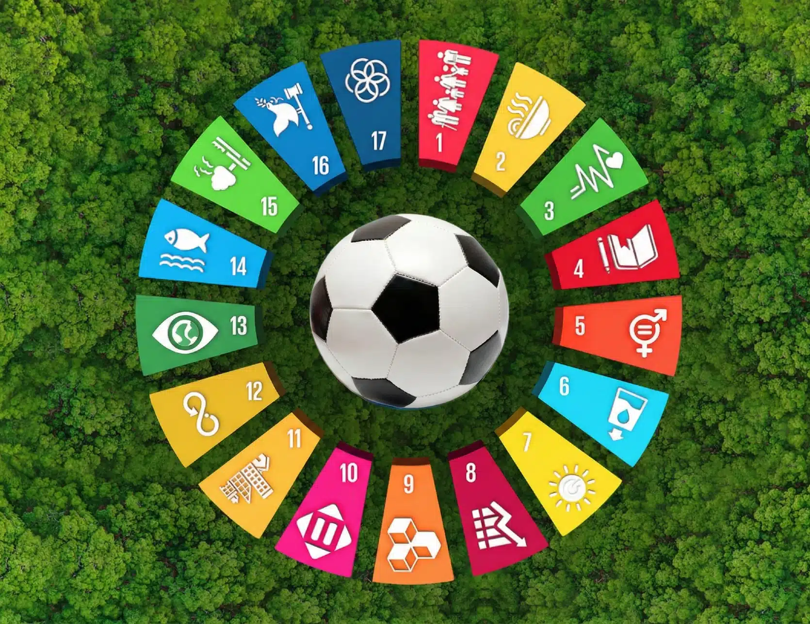 The Future of the Sport Economy for Global Health and Sustainability